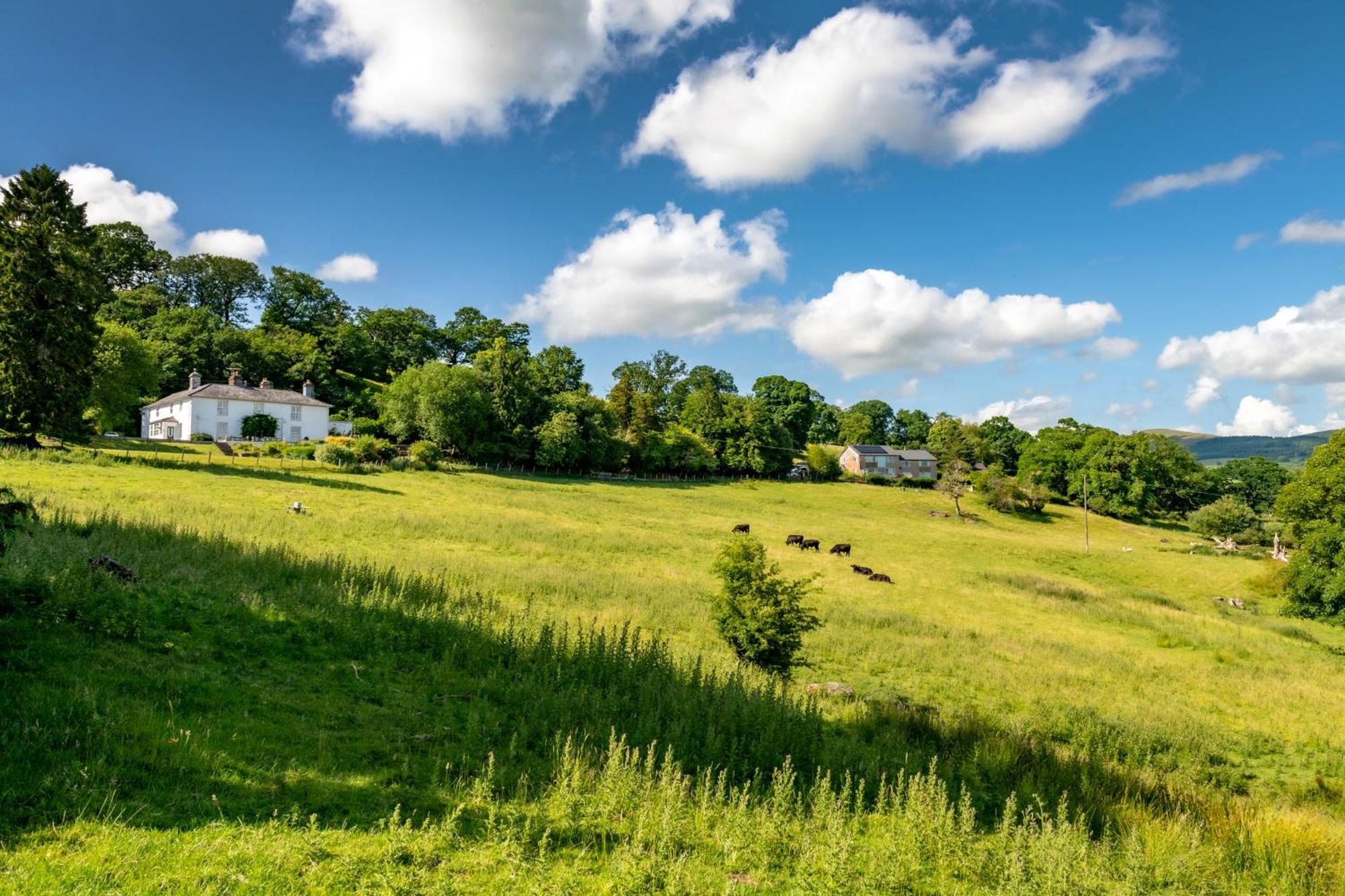Villa Fron Dderw Bala Exterior foto